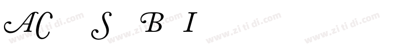 ACaslon SwashBoldIt字体转换